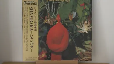 SHAMBARA – シャンバラ | CITY POP on VINYL