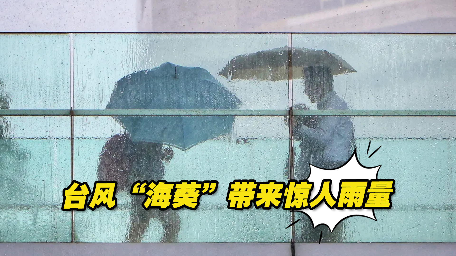 [图]台风“海葵”带来惊人雨量，全台超两万户一度停电，多人受伤