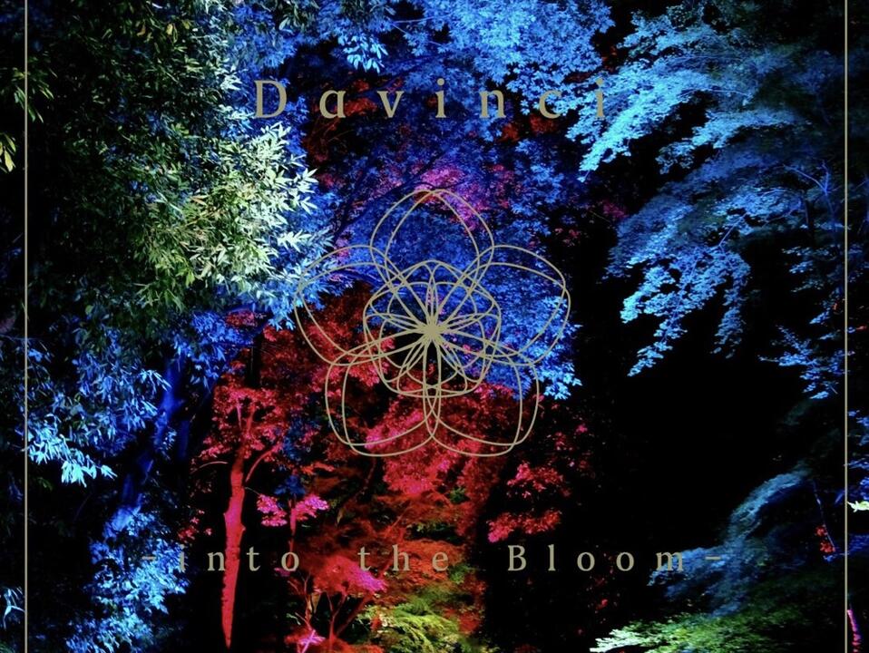 Davinci】into the Bloom_哔哩哔哩_bilibili