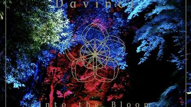 邦楽 into the Bloom Davinci YOASOBI Davinci】into the Bloom_哔哩哔哩_bilibili