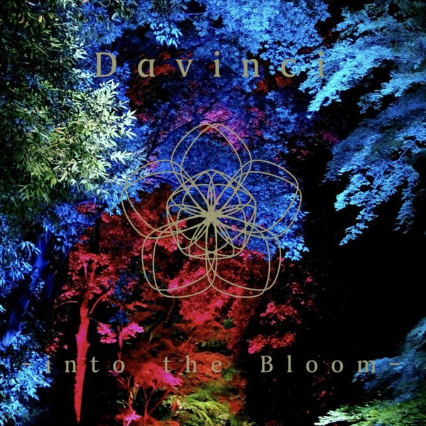 Davinci】into the Bloom_哔哩哔哩_bilibili