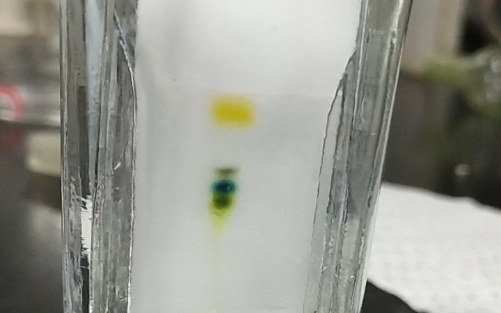 【有机实验】薄层色谱法分离叶绿素哔哩哔哩bilibili