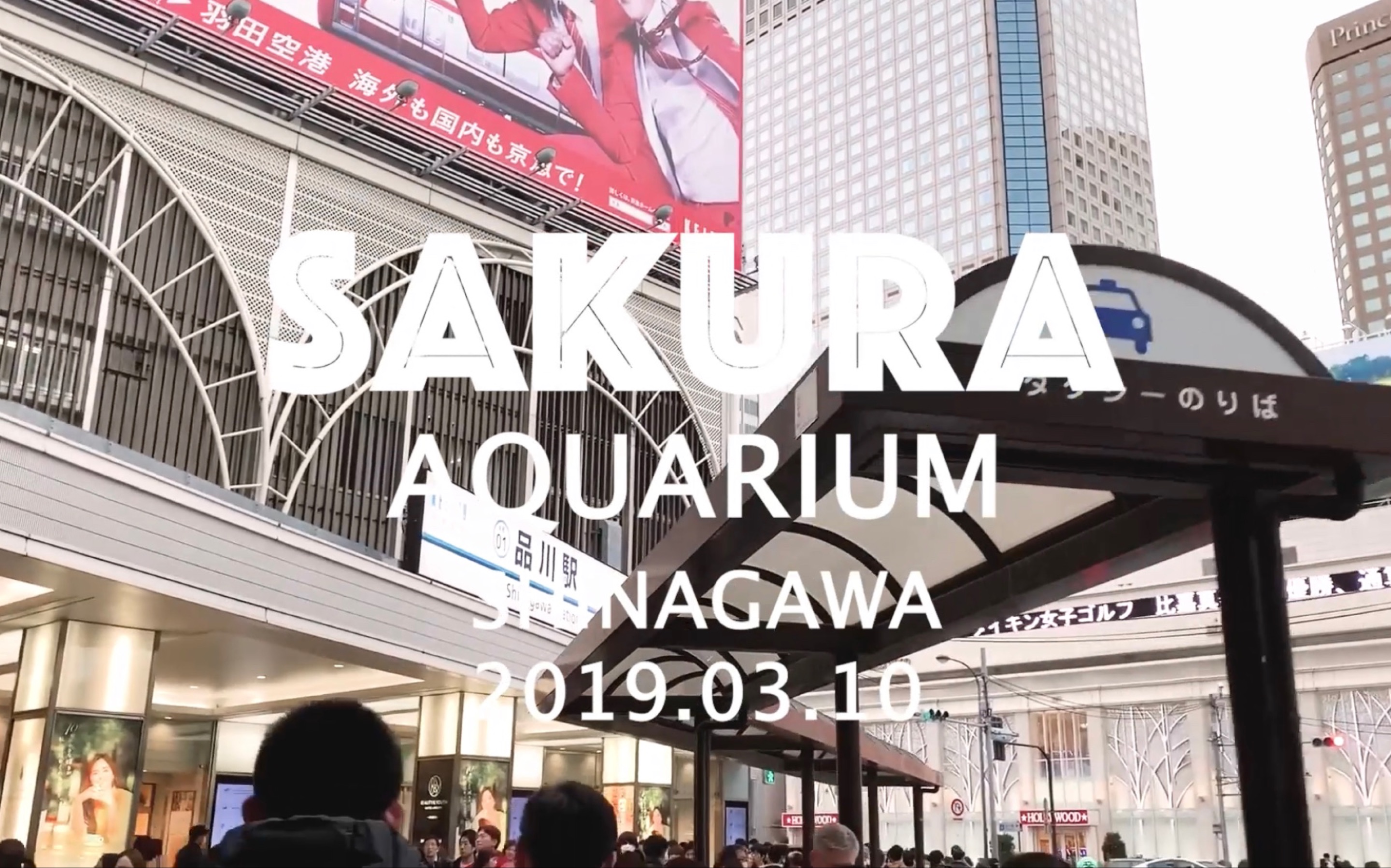 [图]【vlog】东京品川水族馆一日游～SAKURA AQUARIUM 2019