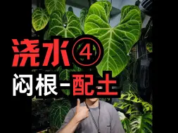 Download Video: 浇水④|防闷根实用技巧-配土