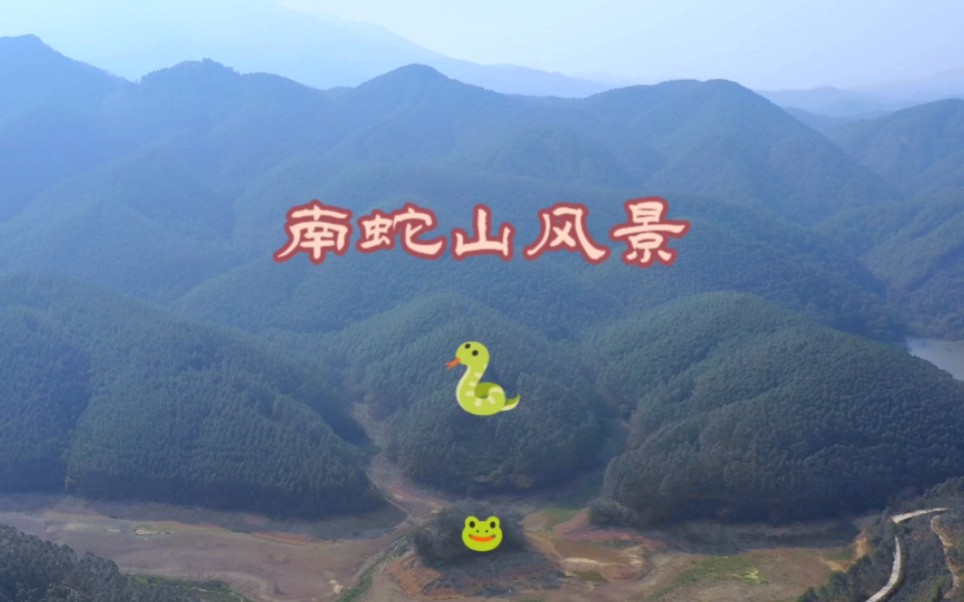 广西南蛇山风景欣赏,水库中一座小岛惟妙惟俏,被人们形容为蛙岛哔哩哔哩bilibili