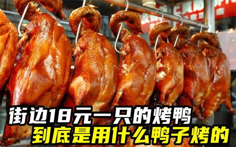 街边18元一只的烤鸭,到底是用什么鸭子烤的,吃了对身体有影响吗