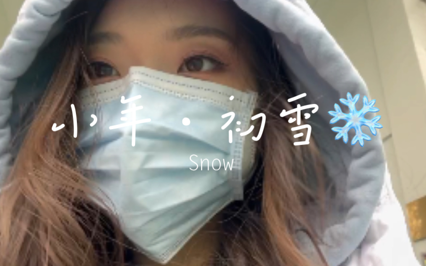 小年快乐 下雪了 好冷好快乐雪好美哔哩哔哩bilibili