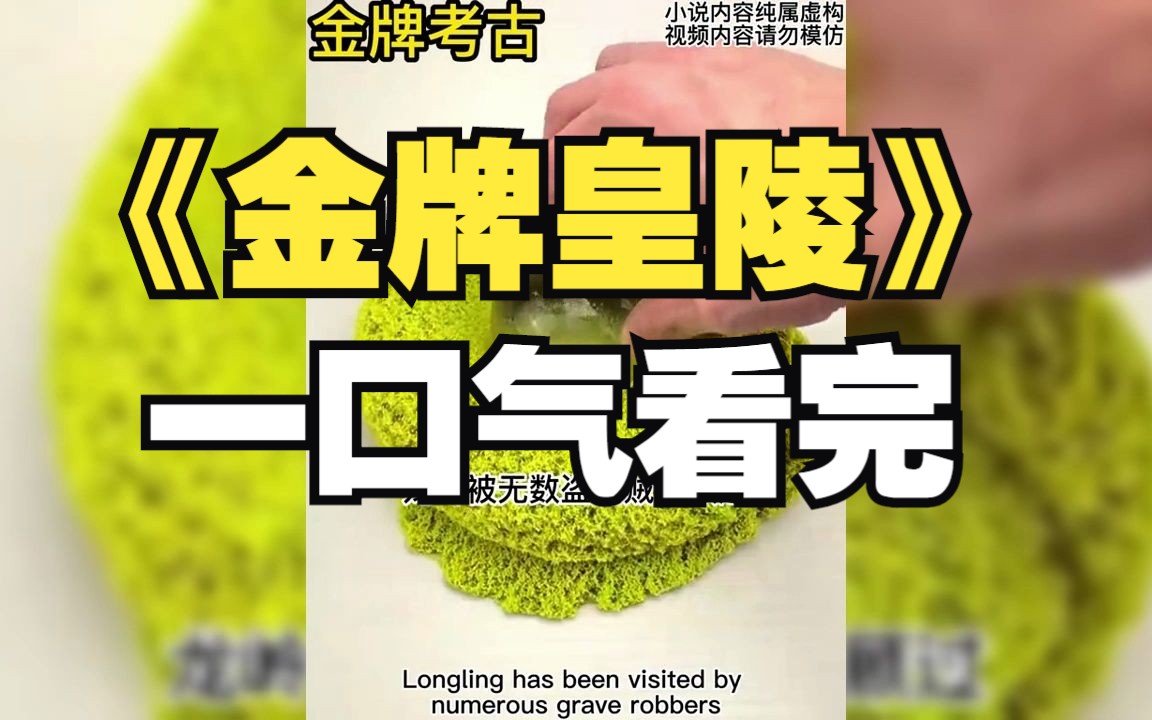 [图]一口气看完《金牌皇陵》你直播盗墓竟被考古队连麦打PK#小说