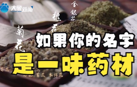 如果用中药名当人名,会有多惊艳?哔哩哔哩bilibili