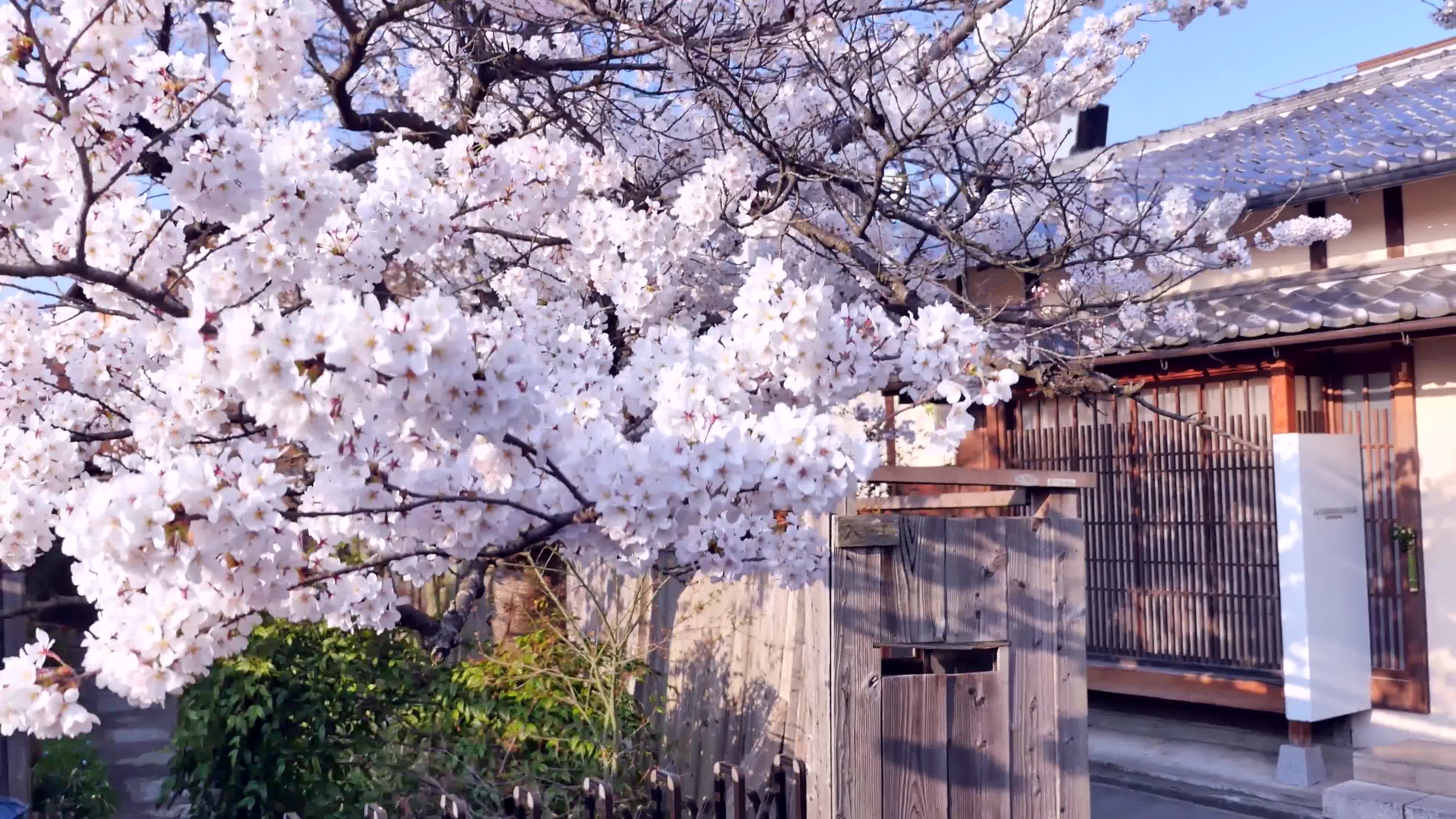 日本风景大赏哔哩哔哩bilibili