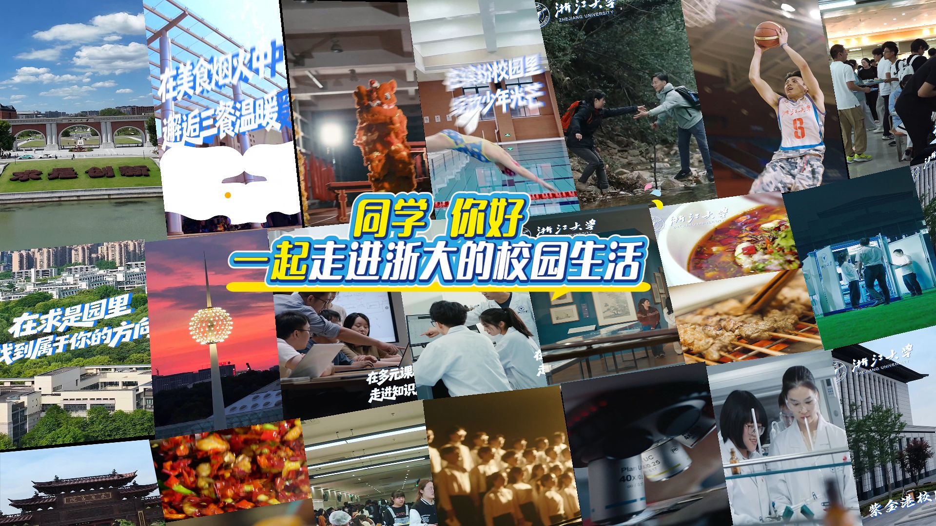 ✨一起点击视频去看浙大的校园生活
