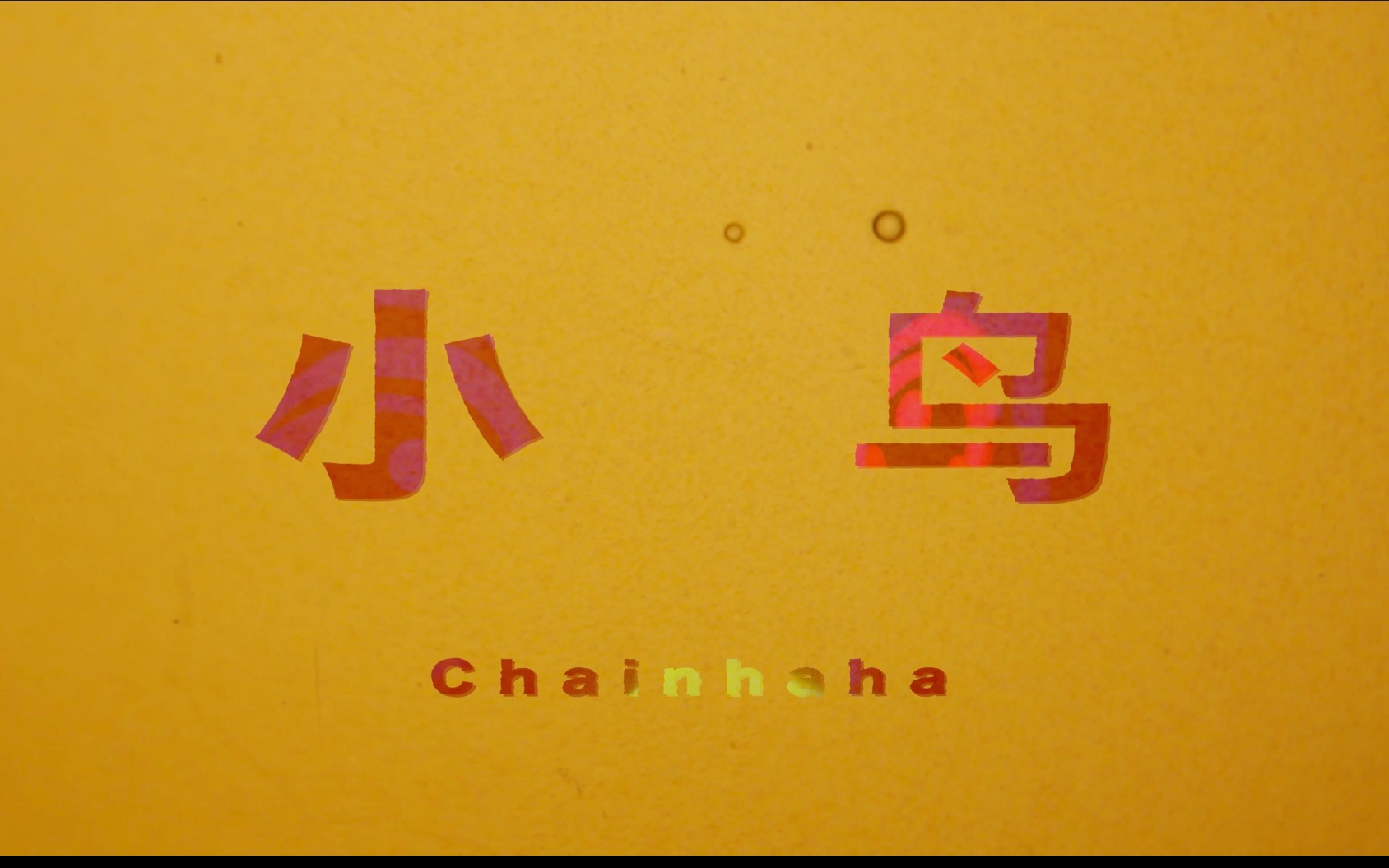 Chainhaha《小鸟》MV哔哩哔哩bilibili