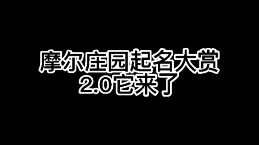 起名大赏2.0哔哩哔哩bilibili