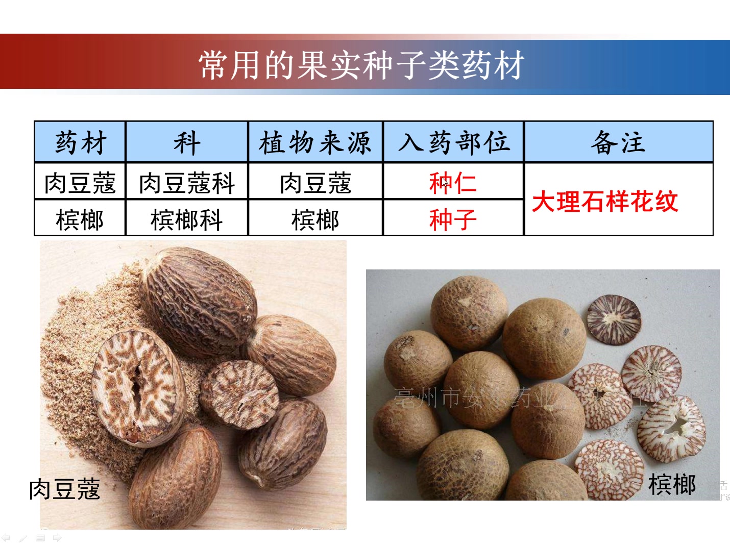 常用中药鉴别:果实种子类中药哔哩哔哩bilibili