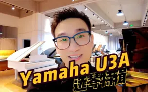 Download Video: u3a和ux价格相近应该怎么选？|【选琴特辑】Yamaha雅马哈U3A