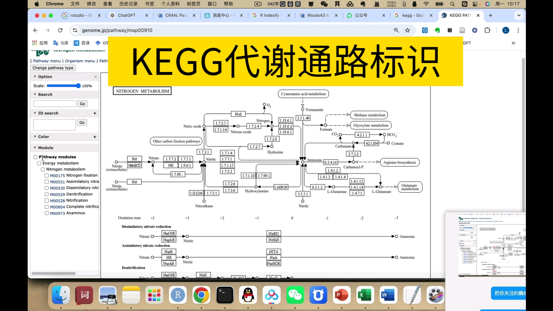 代谢通路示意图绘制与颜色标识KEGG官网实现以氮循环示例哔哩哔哩bilibili