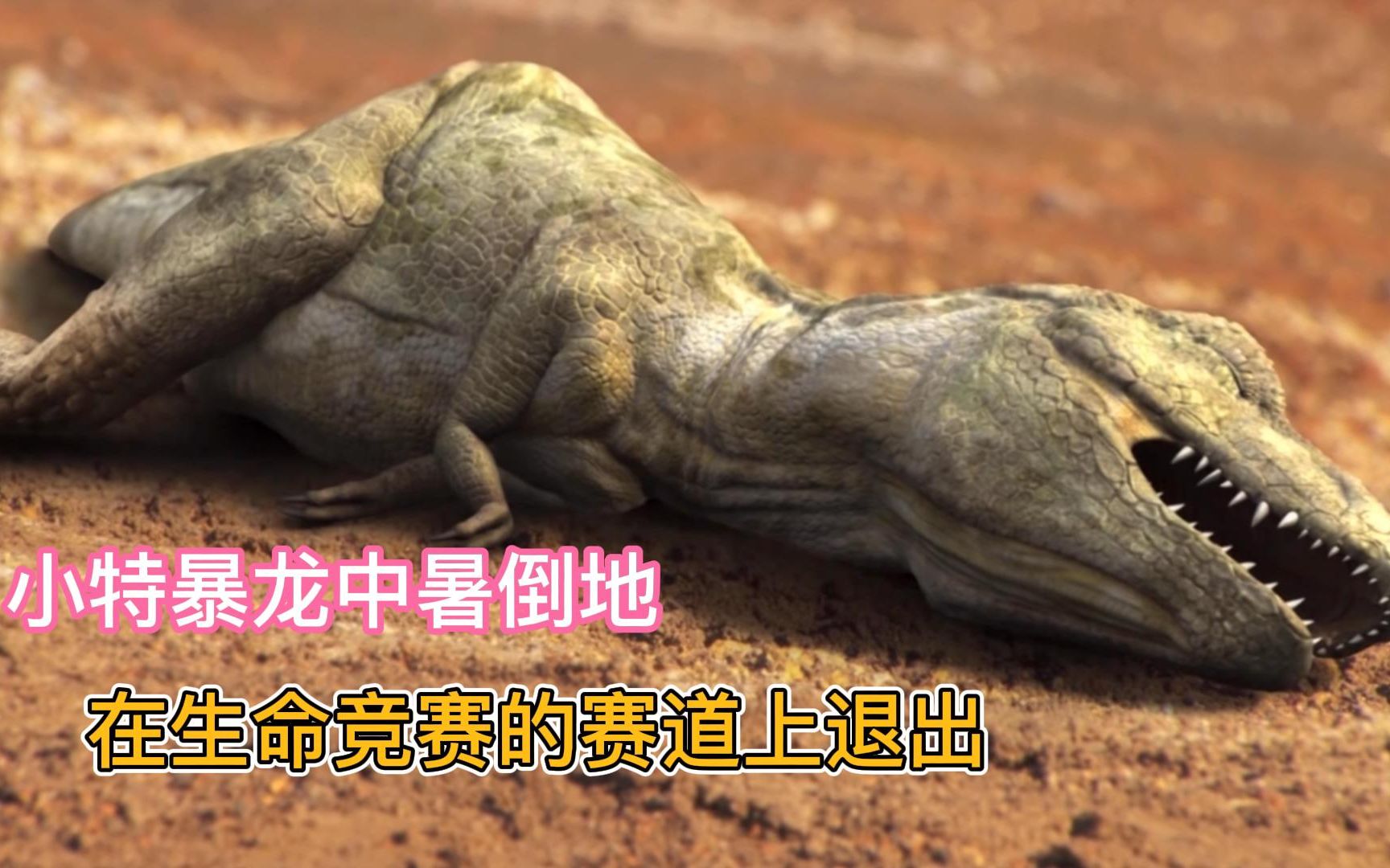 小特暴龙中暑倒地,葬身于沙漠,母特暴龙含泪离去