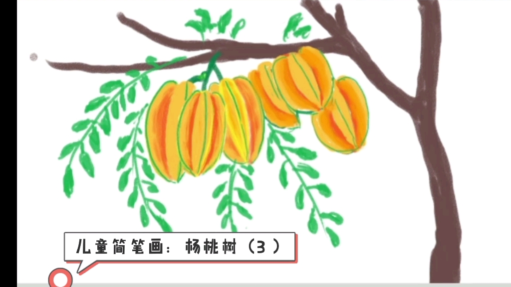 杨桃树简笔画图片