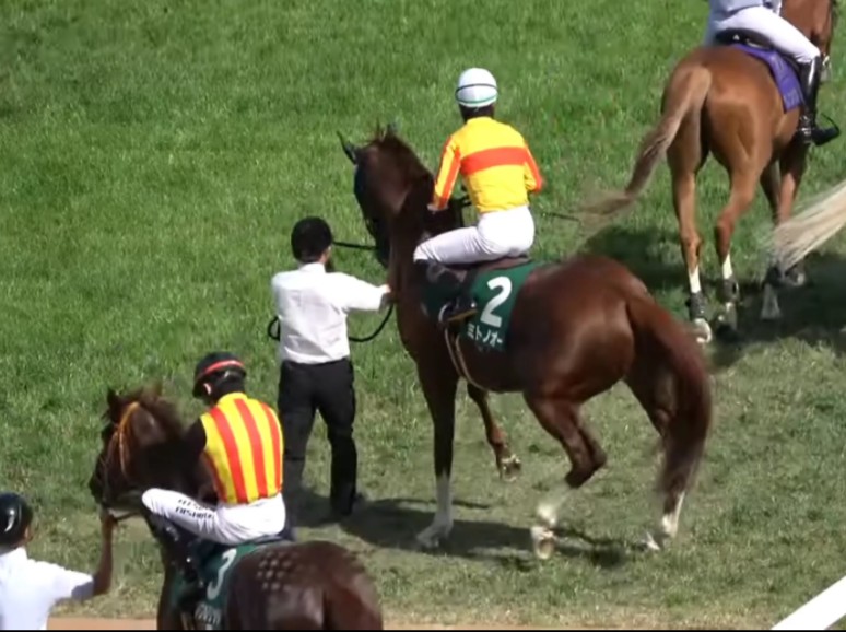 入场时螃蟹步的mi酱和被带坏的3号maple ridge