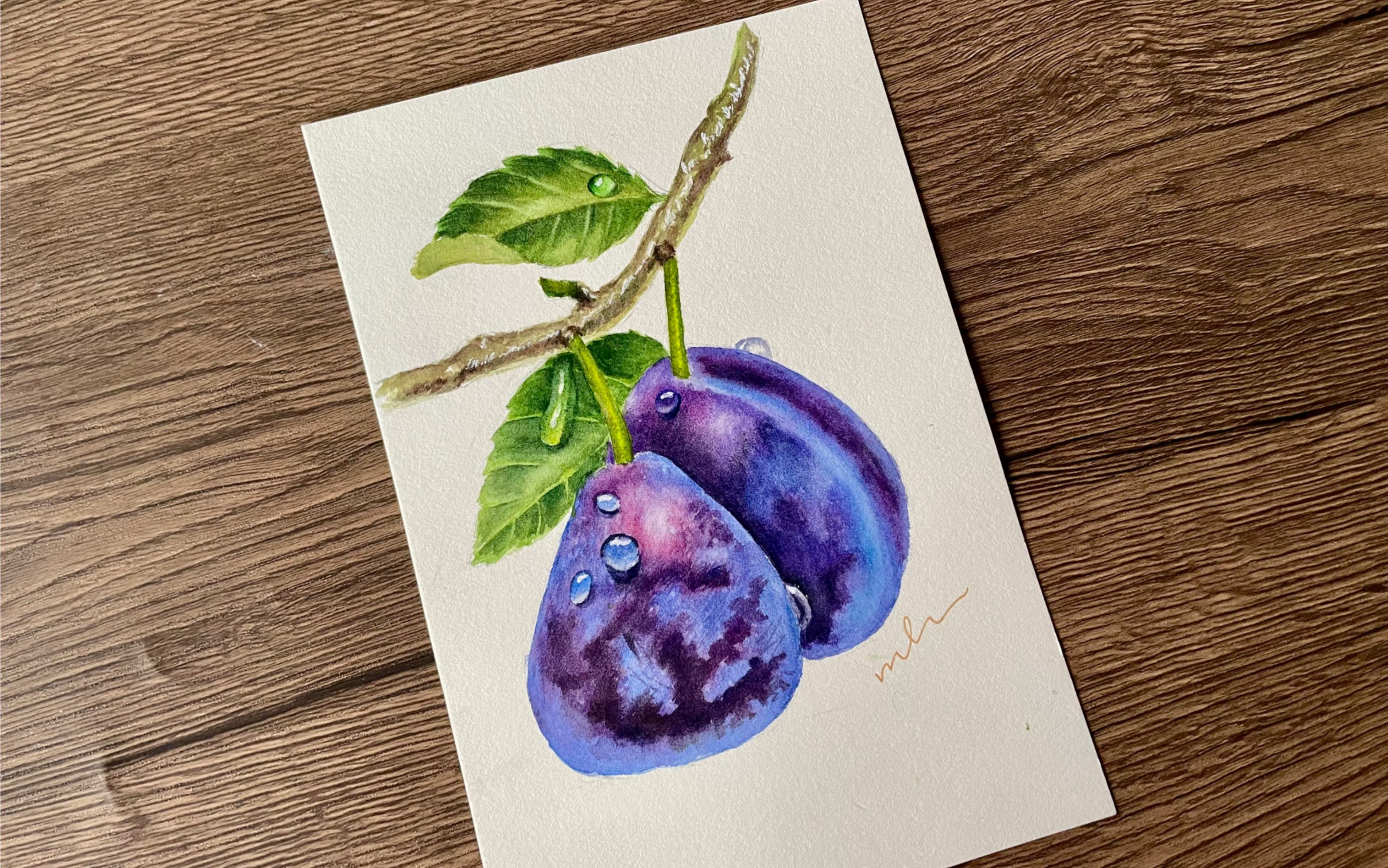 水彩教程——西梅