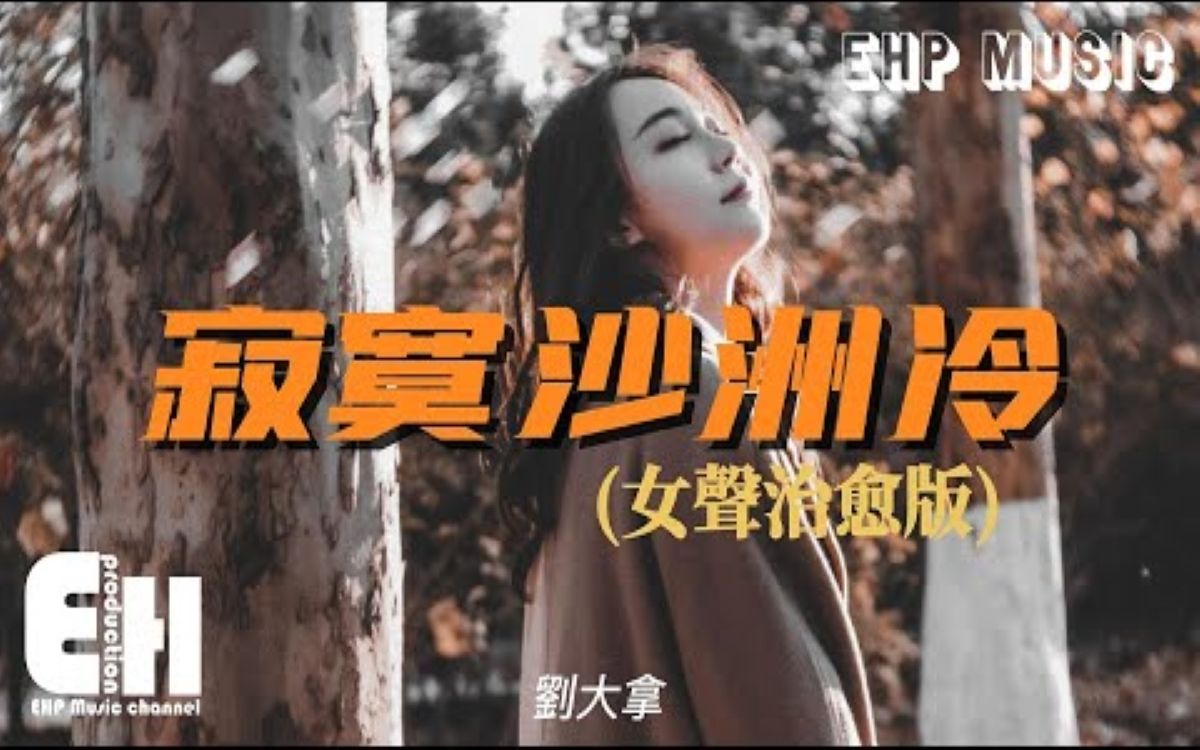 [图]寂寞沙洲冷（女声治愈版） - 刘大拿 - 『当记忆的线缠绕过往支离破碎，是慌乱占据了心扉。』【动态歌词/Vietsub】