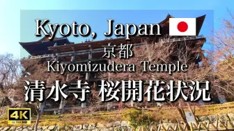 Download Video: 日本旅游 清水寺樱花盛开