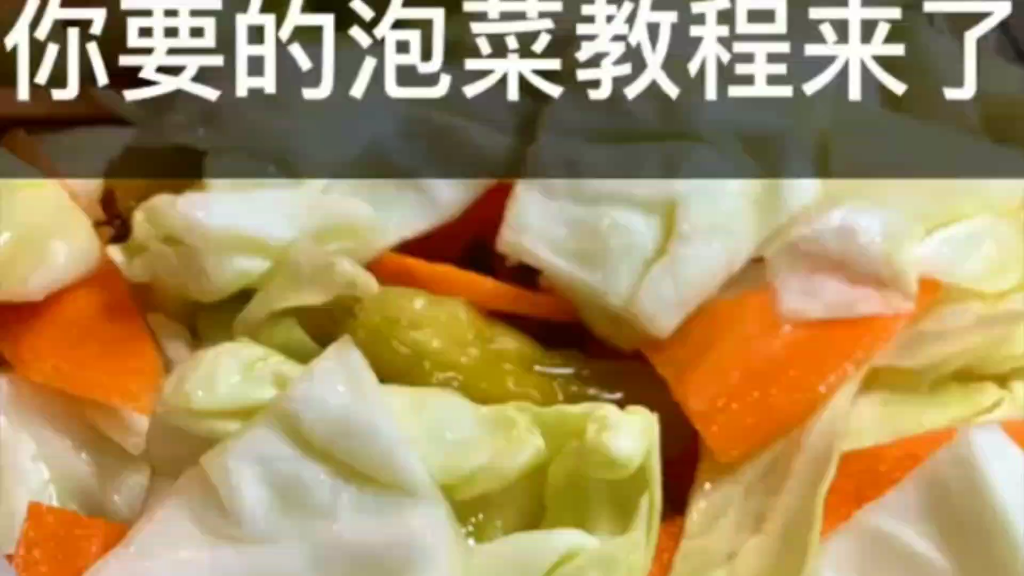 [图]泡菜圆白菜3