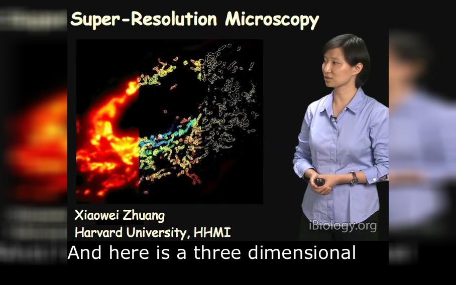 超分辨显微镜 Super Resolution Microscopy  庄小威  英文字幕哔哩哔哩bilibili