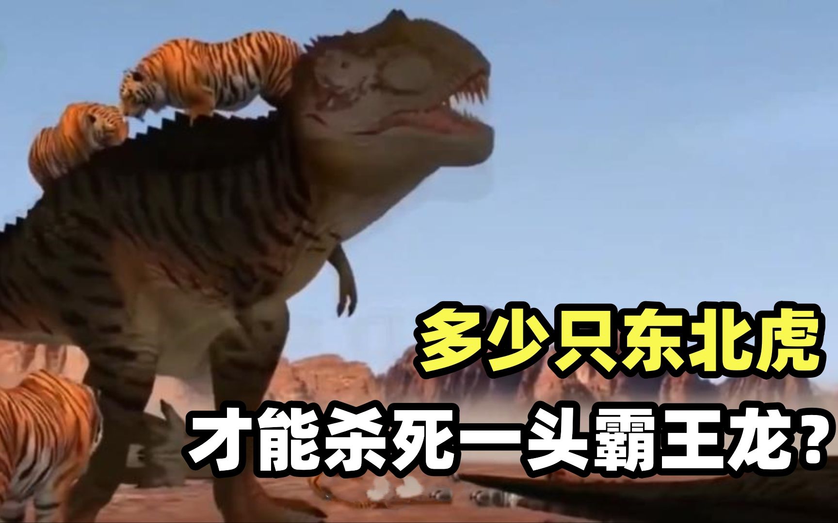 科普:多少只东北虎才能够杀死一头霸王龙呢?