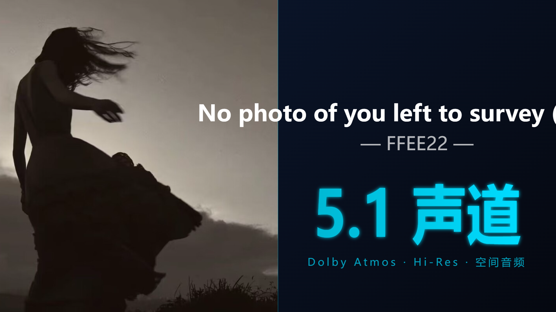 [Hi-Res + 5.1声道] No photo of … - FFEE22 | DTS/Dolby Atmos杜比环绕全景声试音音频可视化