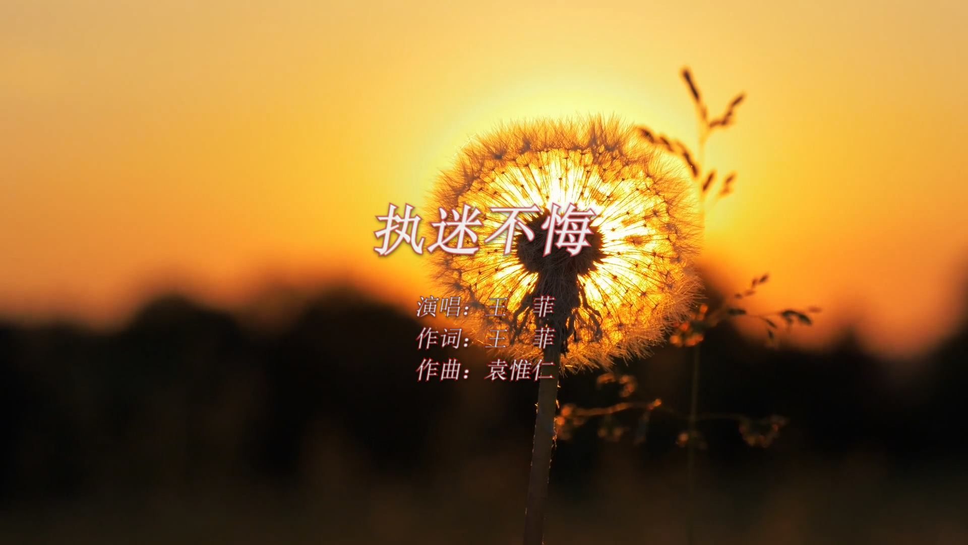 【经典100首】王菲《执迷不悔》:人生都是过客,停留是缘,离开缘尽!