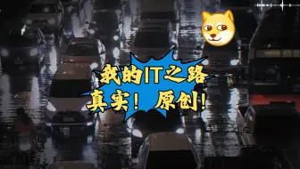 我的IT之路（原创的3千字文章）