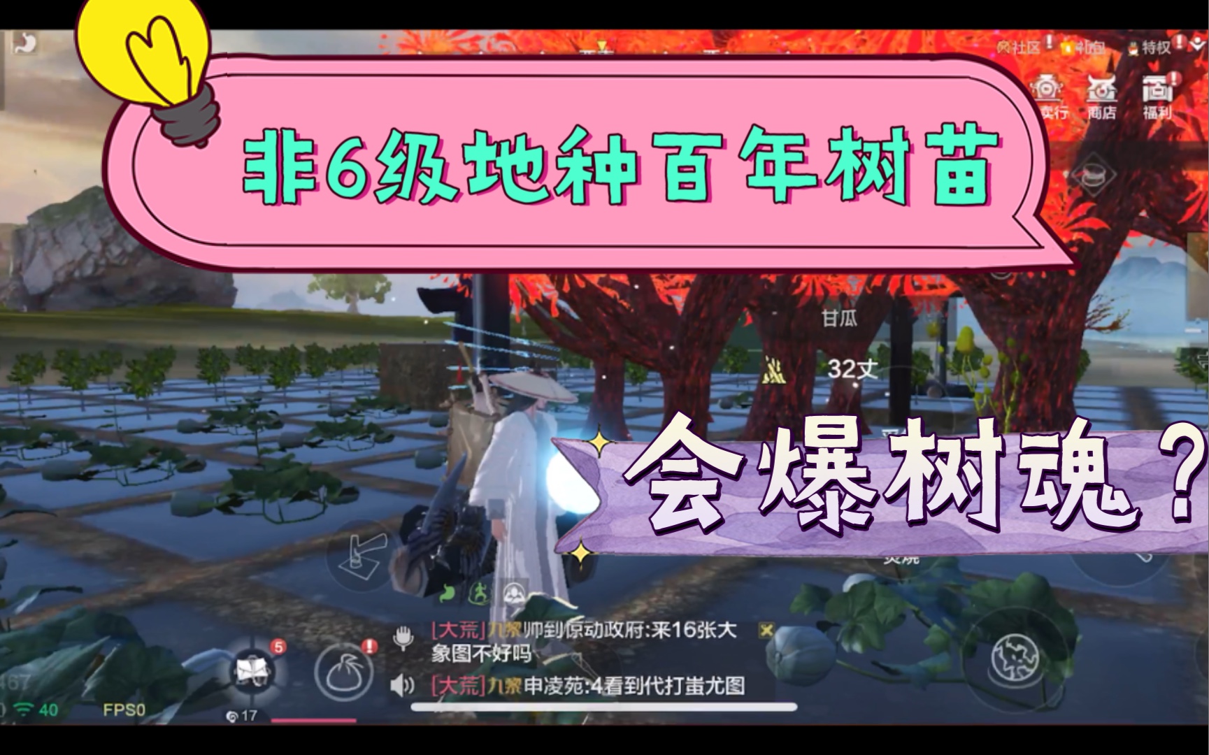 妄想山海:非6级地种植百年树苗,会爆树魂吗?给你实锤.