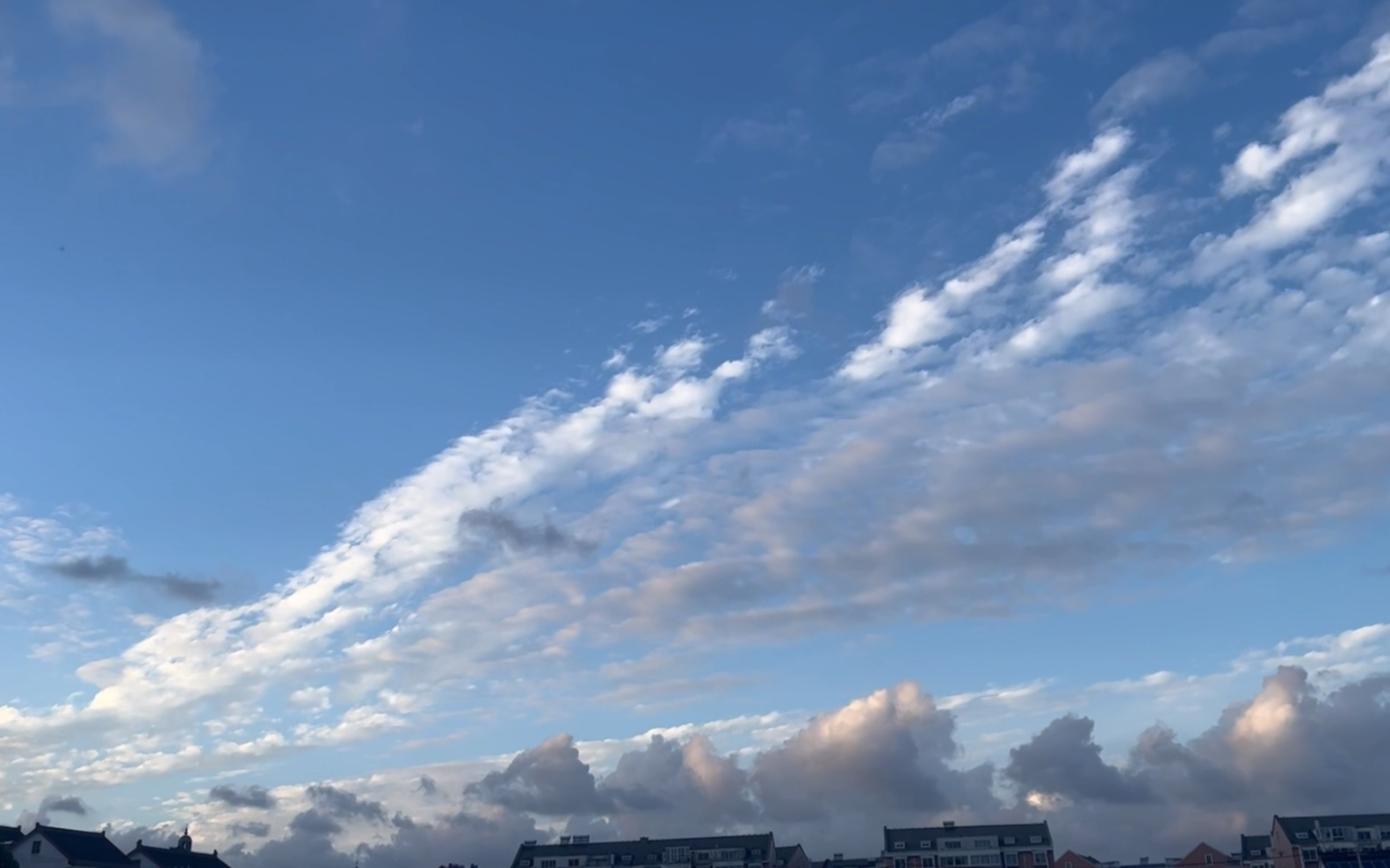 [图]天空 小花和蚱蜢