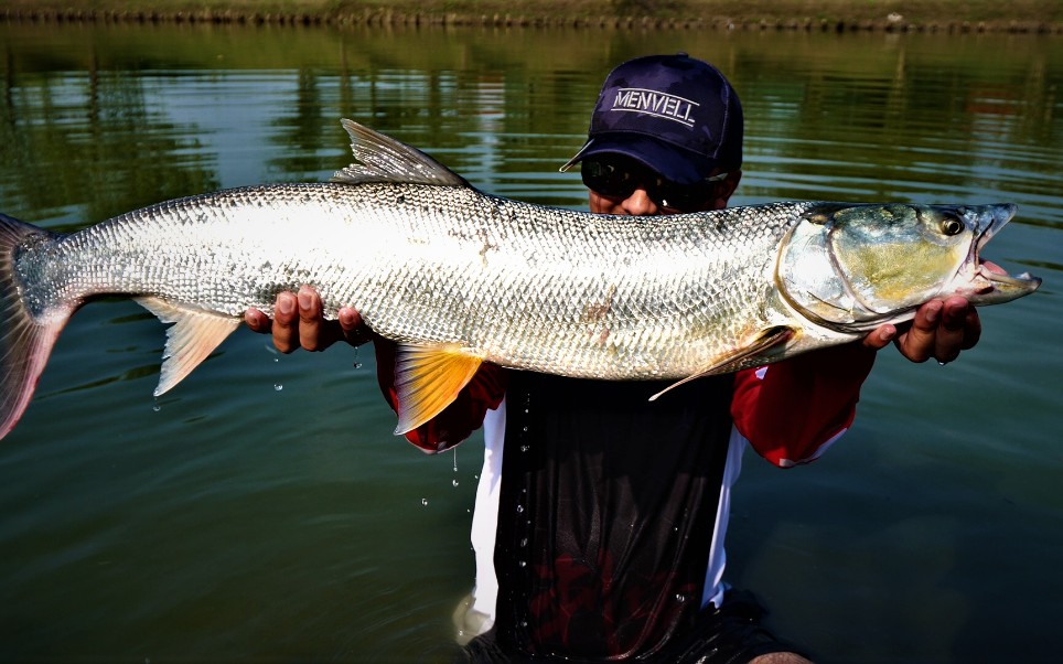 路亚鳡鱼,野水探钓一年前的通江河道,鳡鱼宝宝长大了_哔哩哔哩_bili
