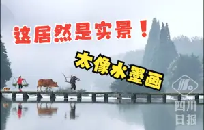 Download Video: 我宣布，水墨画就是写实派的！