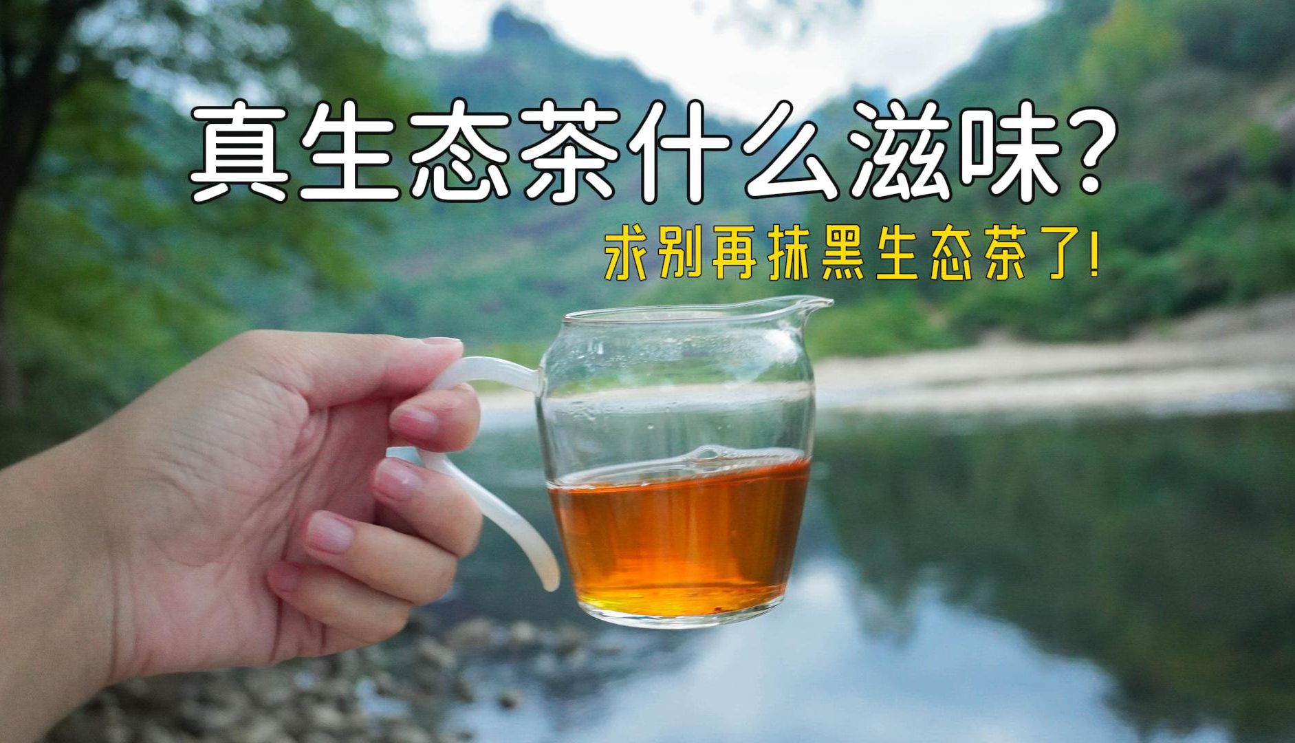 【生态茶】是溢价噱头吗?真生态的茶农已经血亏!哔哩哔哩bilibili