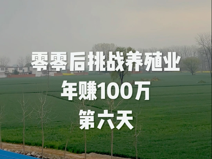 现在创业什么项目赚钱(现在创业什么项目适合创业)
