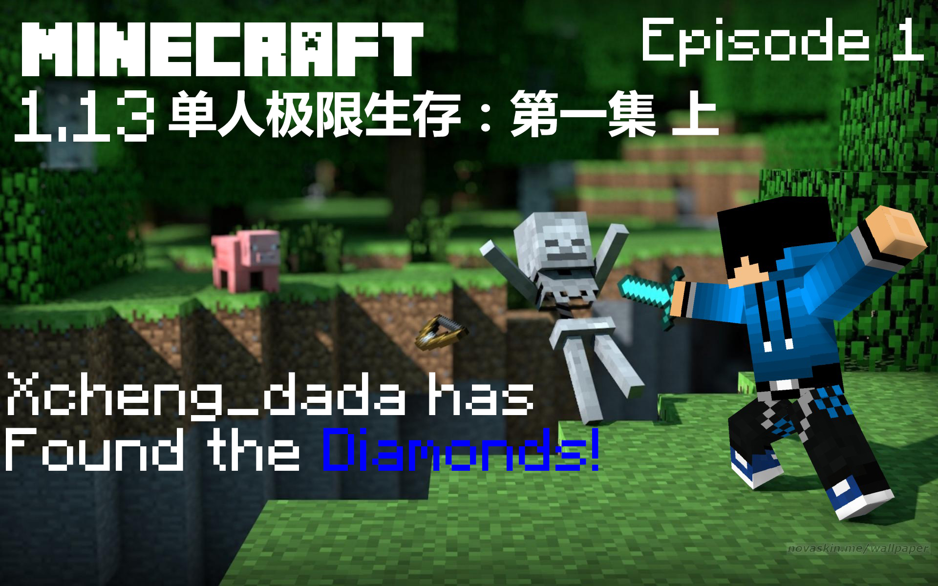 【我的世界】1.13单人极限生存:第一集 上:钻石!_哔哩哔哩_bilibili