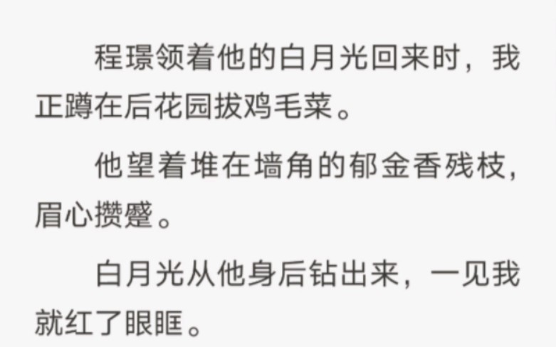 [图]我等白月光回来，程璟甩我一张离婚协议，分我一栋别墅和数千万现金。我看白月光的眼神不禁带着点对救世主的讨好。—UC十足的替身