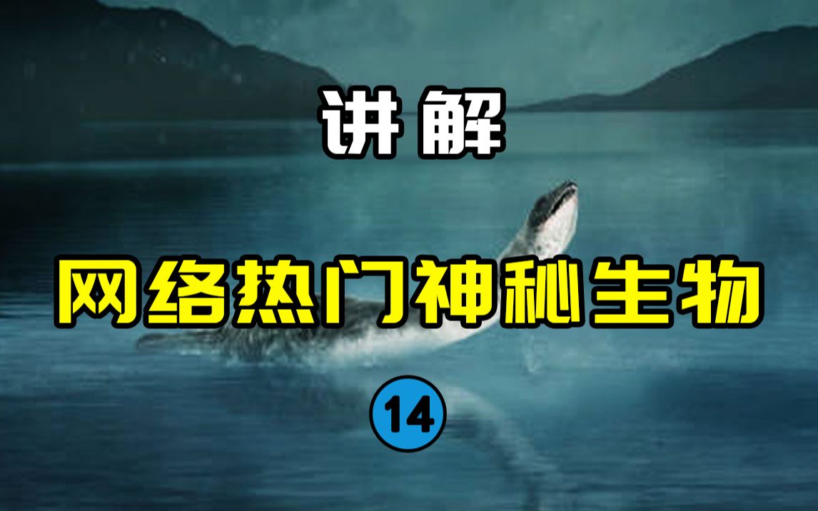 【网络热门神秘生物14】美国版的尼斯湖水怪!?流传上百年的“冠军湖怪”是啥东西?哔哩哔哩bilibili