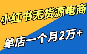 Download Video: 【2024版小红书体运营教程】全B站最良心的小红书开店运营高阶教程合集，小红书体开店 起号真的快