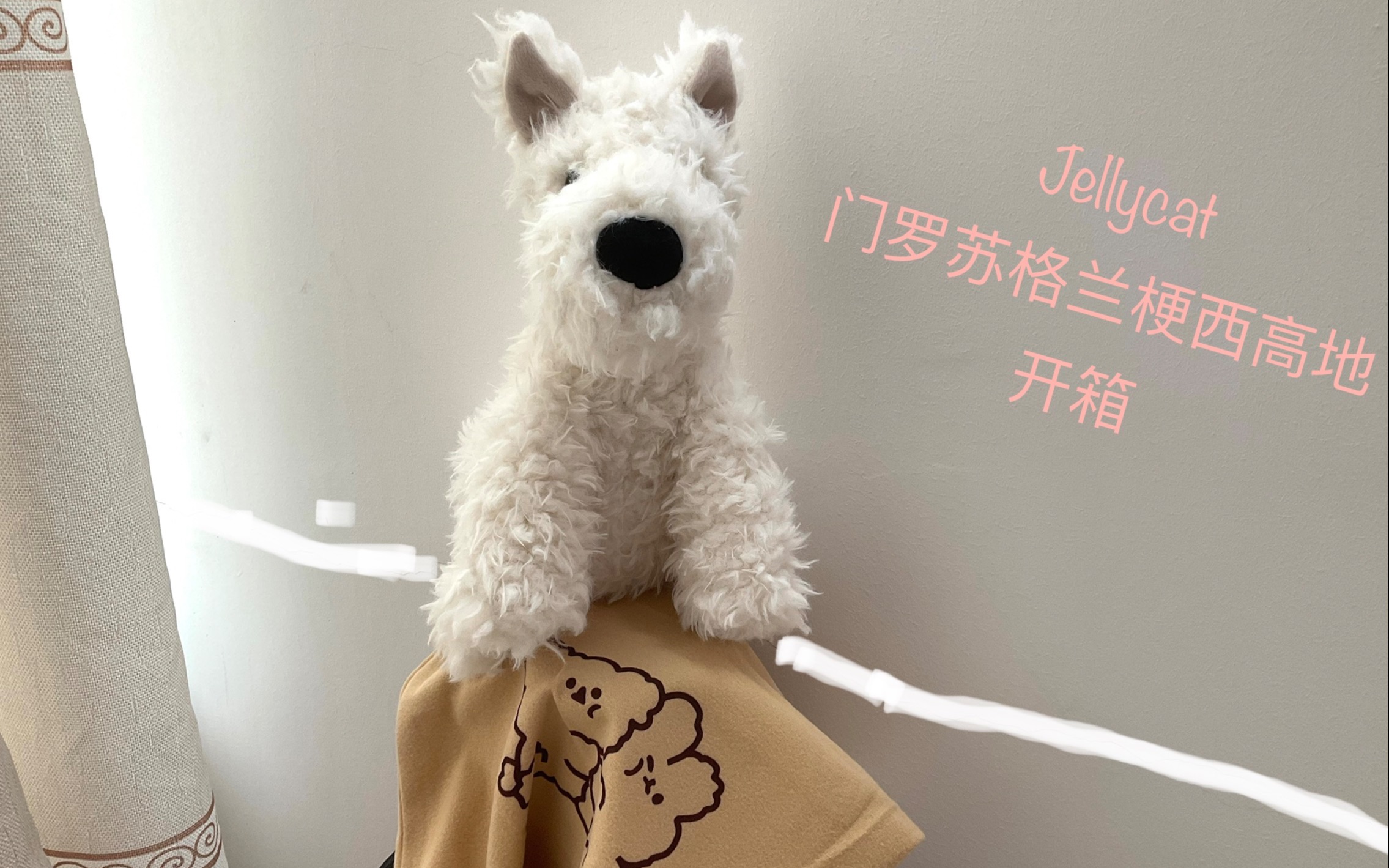 Jellycat门罗苏格兰梗西高地狗狗开箱!哔哩哔哩bilibili