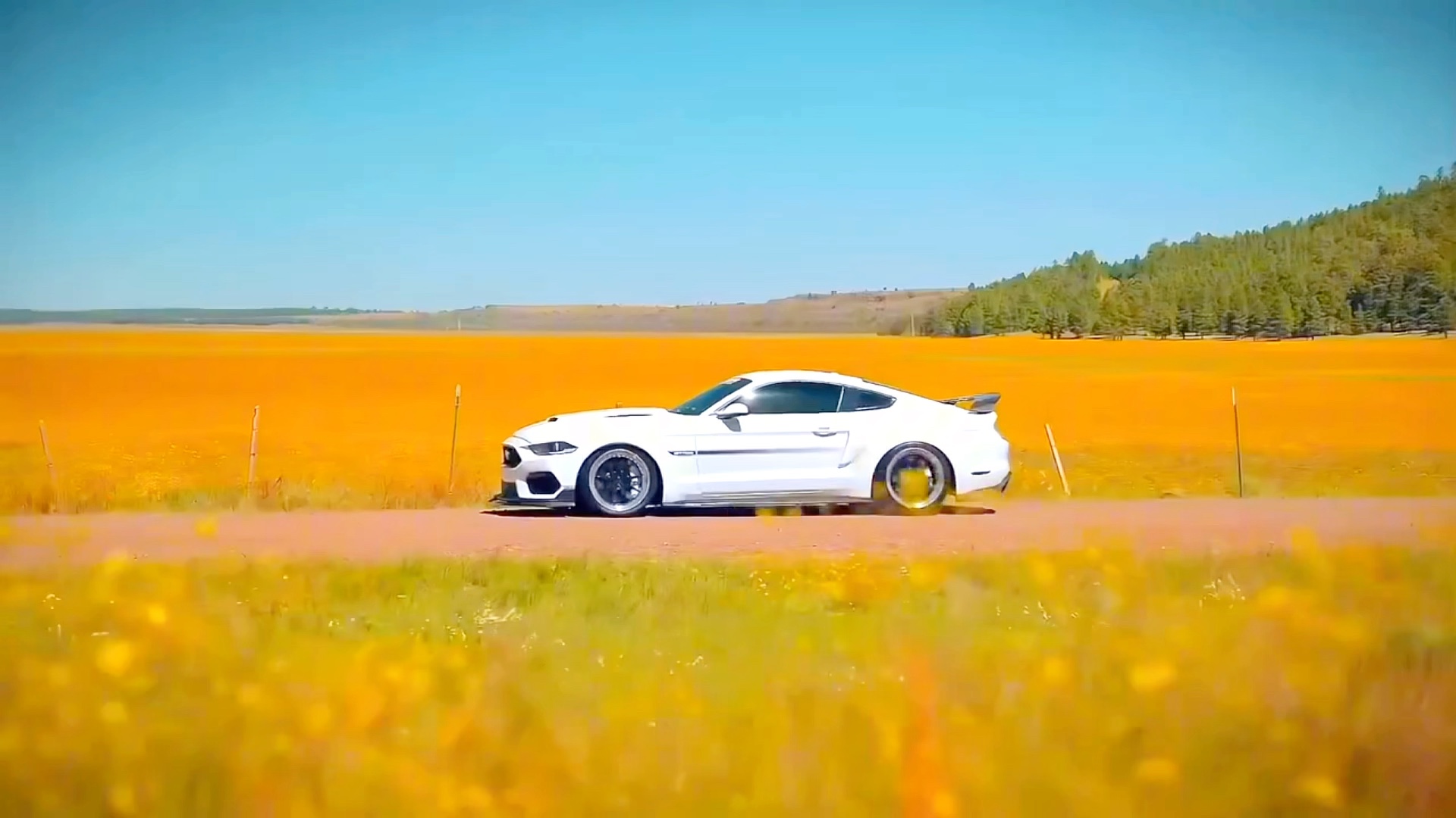 野马mustang