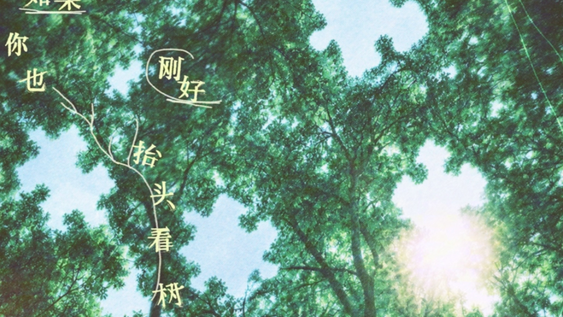 孙天宇《如果你也刚好抬头看树》单曲