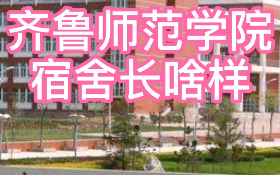 【齐鲁师范学院】这不比招生简章好使?哔哩哔哩bilibili