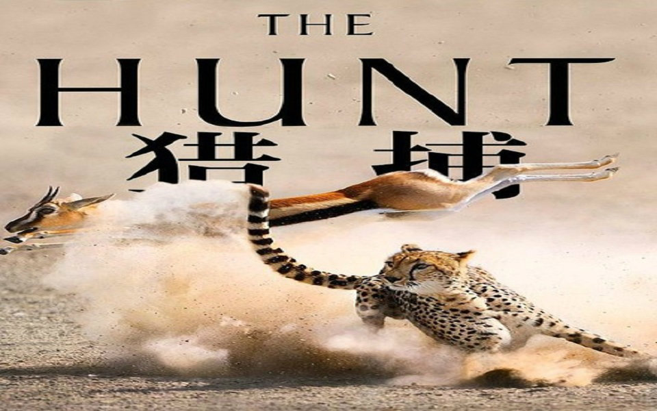 bbc:狩猎 the hunt 【2015】【纪录片】【英国】