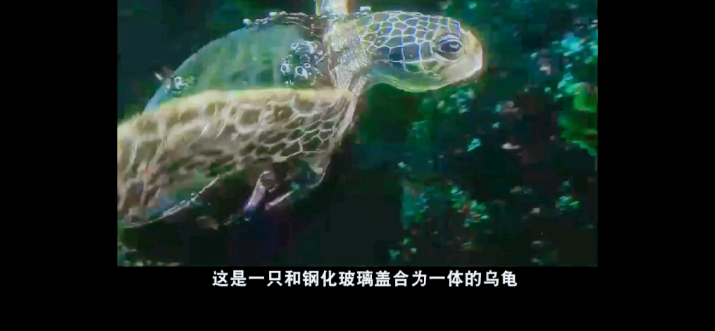 [图]海洋生态环境是海洋生物生存和发展的基本条