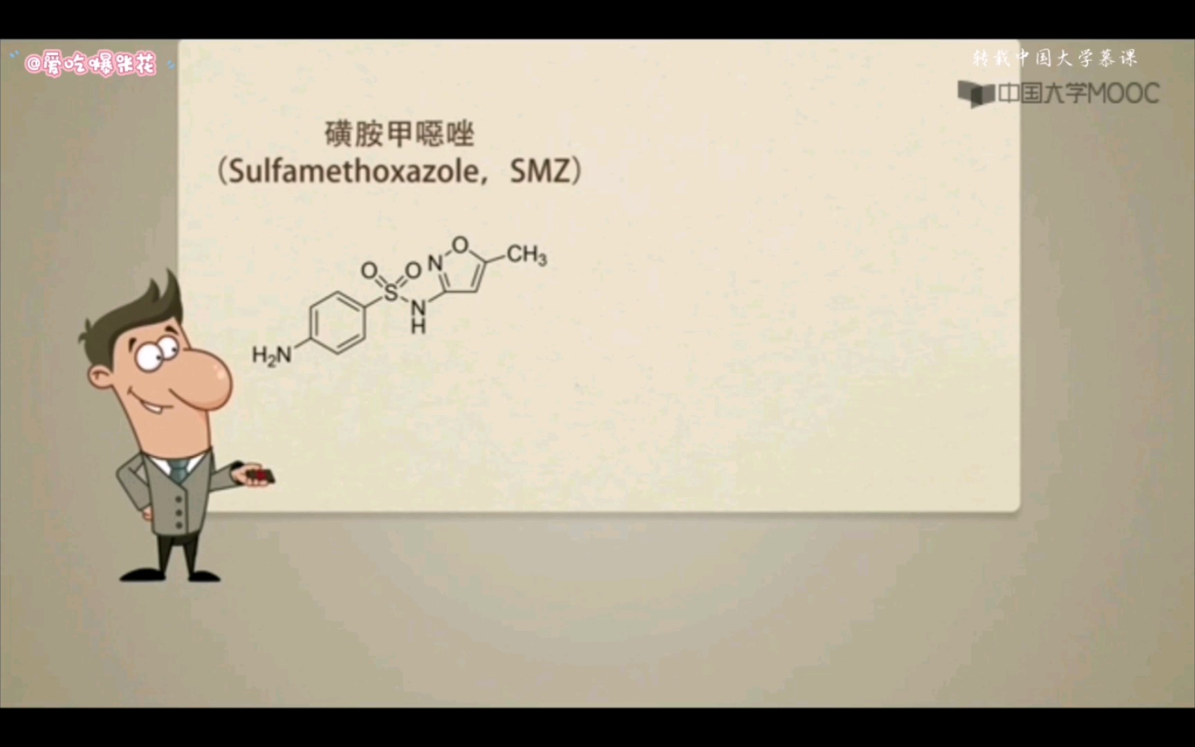 磺胺甲噁唑和甲氧苄啶 药物化学 中国药科大学哔哩哔哩bilibili