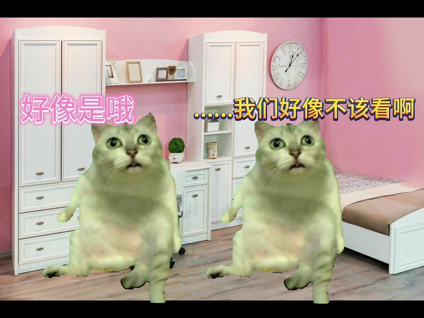 [图]【猫meme】神奇表姐让2岁弟弟给自己口并发视频给网友这件事